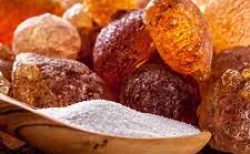 Gum Arabic.1