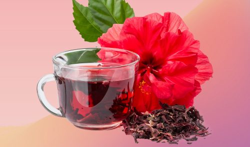 Hibiscus