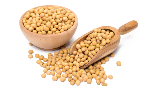 Soybean-PNG-File-Download-Free