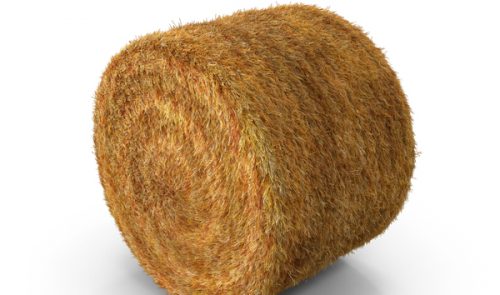 hay-bale-haystack-WyL78n0-600