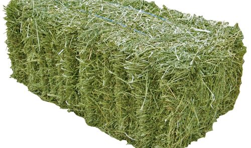 WhatsApp Image 2022-10-03 at 1.23.54 PM